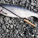 Parks Mobil-home Eco-chic Vue Campsite